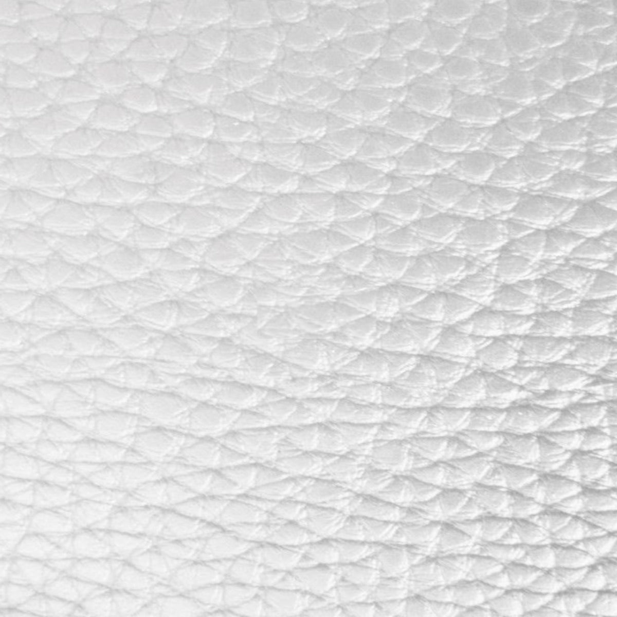 White Vinyl & Leather Fabric