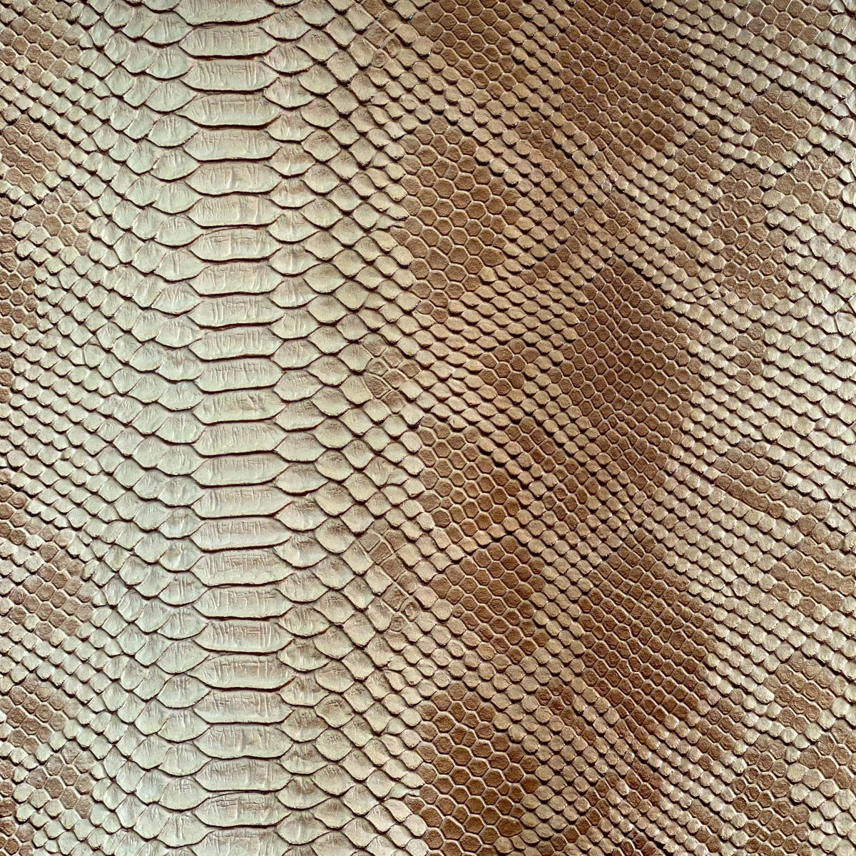 Beige Faux Snake Skin Upholstery Crafting Vinyl Fabric – Fashion Fabrics LLC