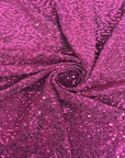 Fuchsia Pink Metallic Lurex Embroidered Sequins Fabric